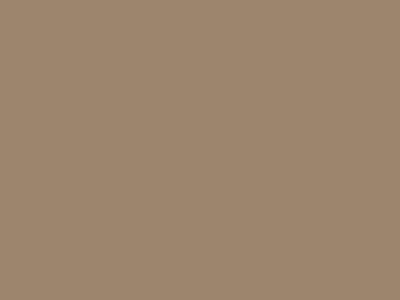 Грунтовочная краска Decorazza Fiora (Фиора) в цвете FR 10-69 БАЗА C